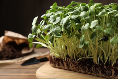 Fresh organic microgreen on wooden table, closeup view