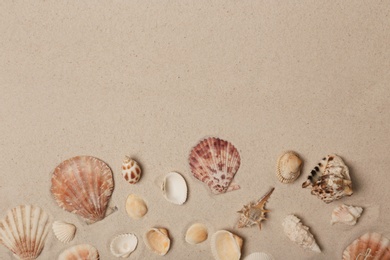 Seashells on beach sand, top view with space for text