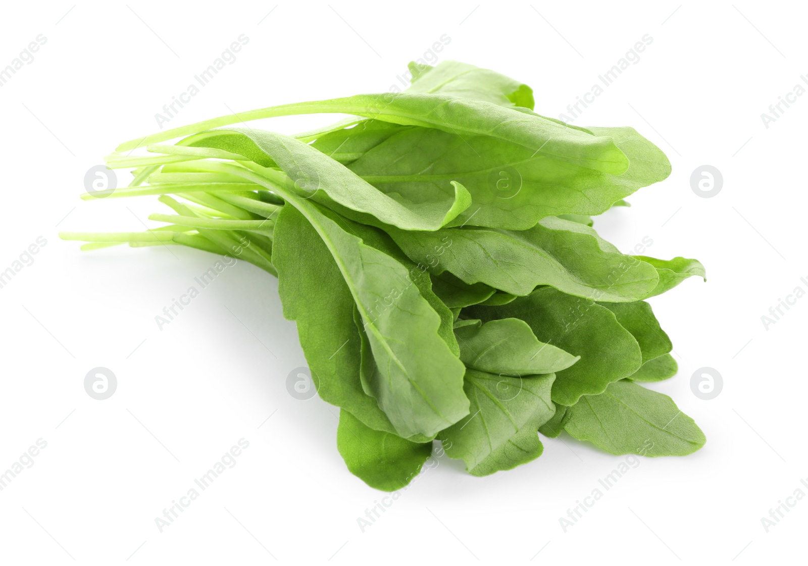 Photo of Fresh green arugula leaves on white background