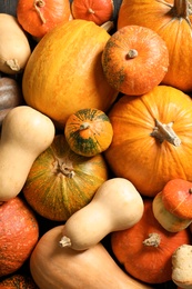 Many different pumpkins as background, closeup. Autumn holidays