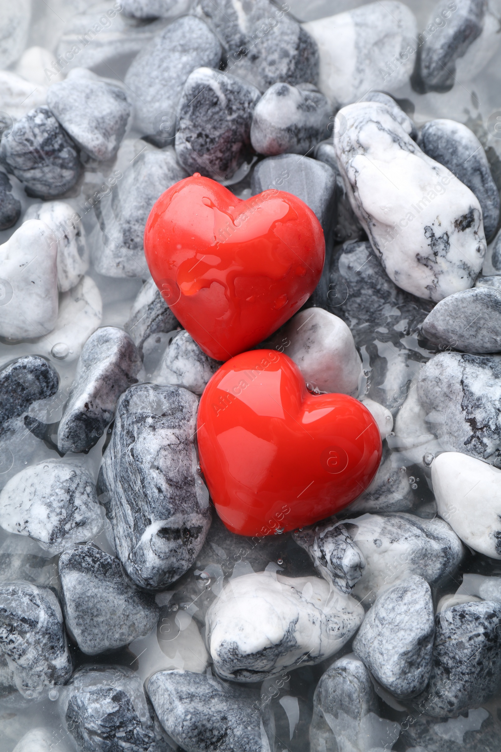 Photo of Red decorative hearts on stones and water, top view