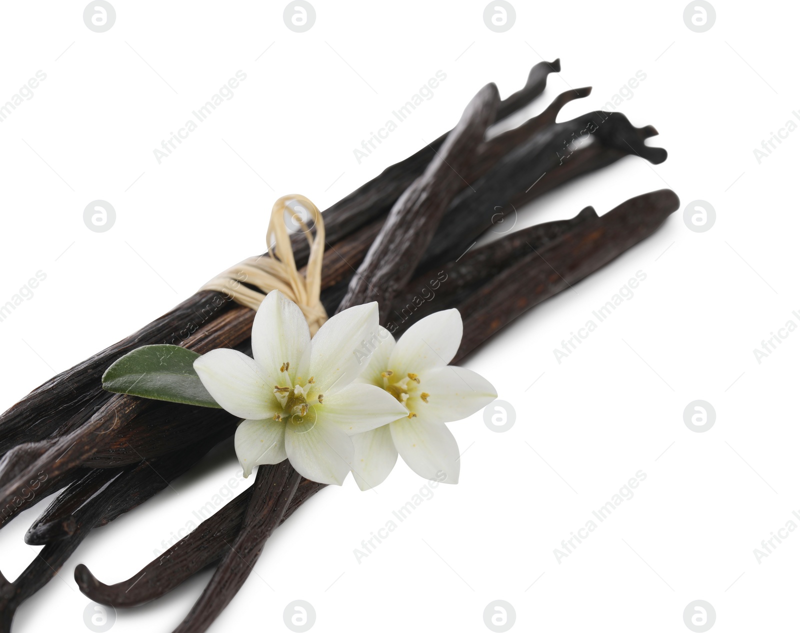 Photo of Vanilla pods, green leaf and flowers isolated on white