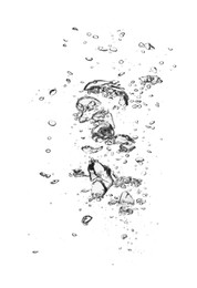 Image of Many air bubbles in water on white background