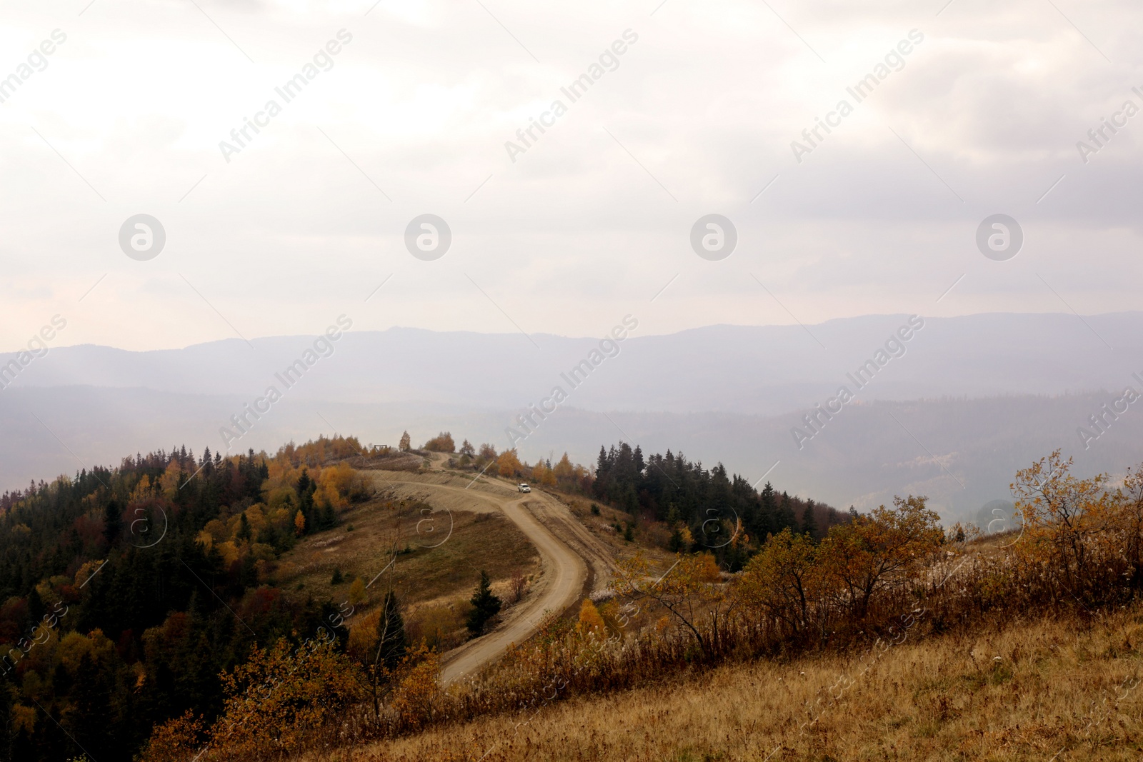 Photo of Beautiful landscape of forest with pathway in mountains on autumn day