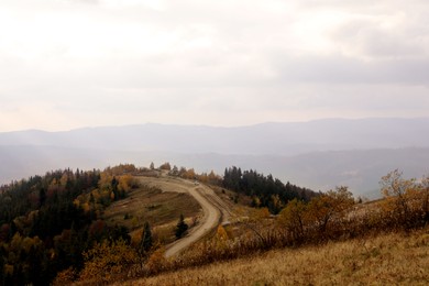 Beautiful landscape of forest with pathway in mountains on autumn day