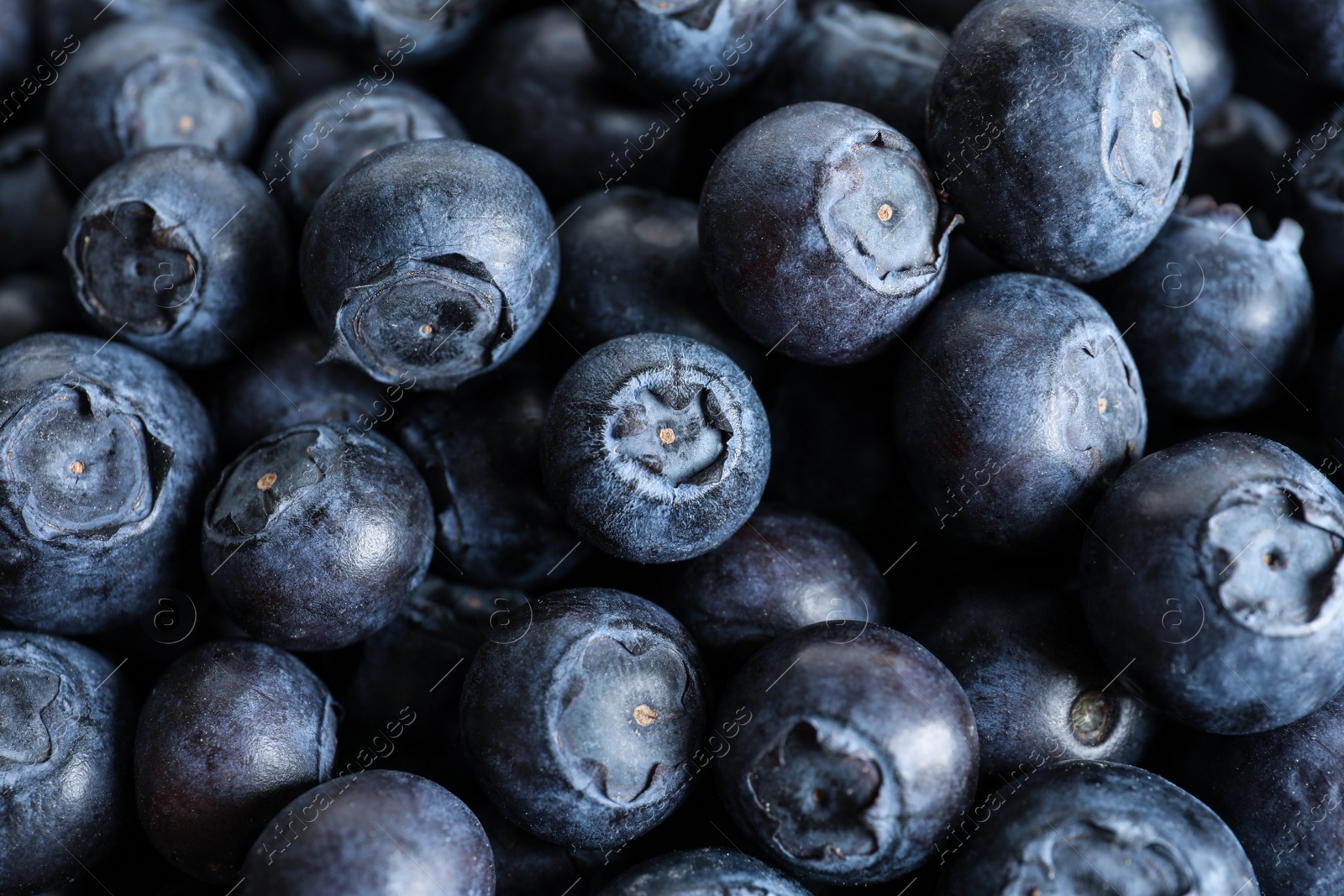 Photo of Fresh raw blueberries as background, closeup view