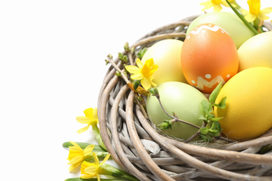 Photo of Colorful Easter eggs in decorative nest on white background, closeup