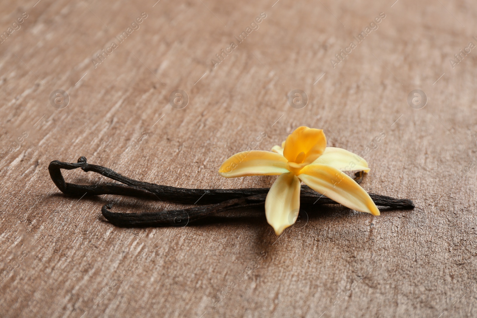 Photo of Vanilla sticks and flower on brown background. Space for text