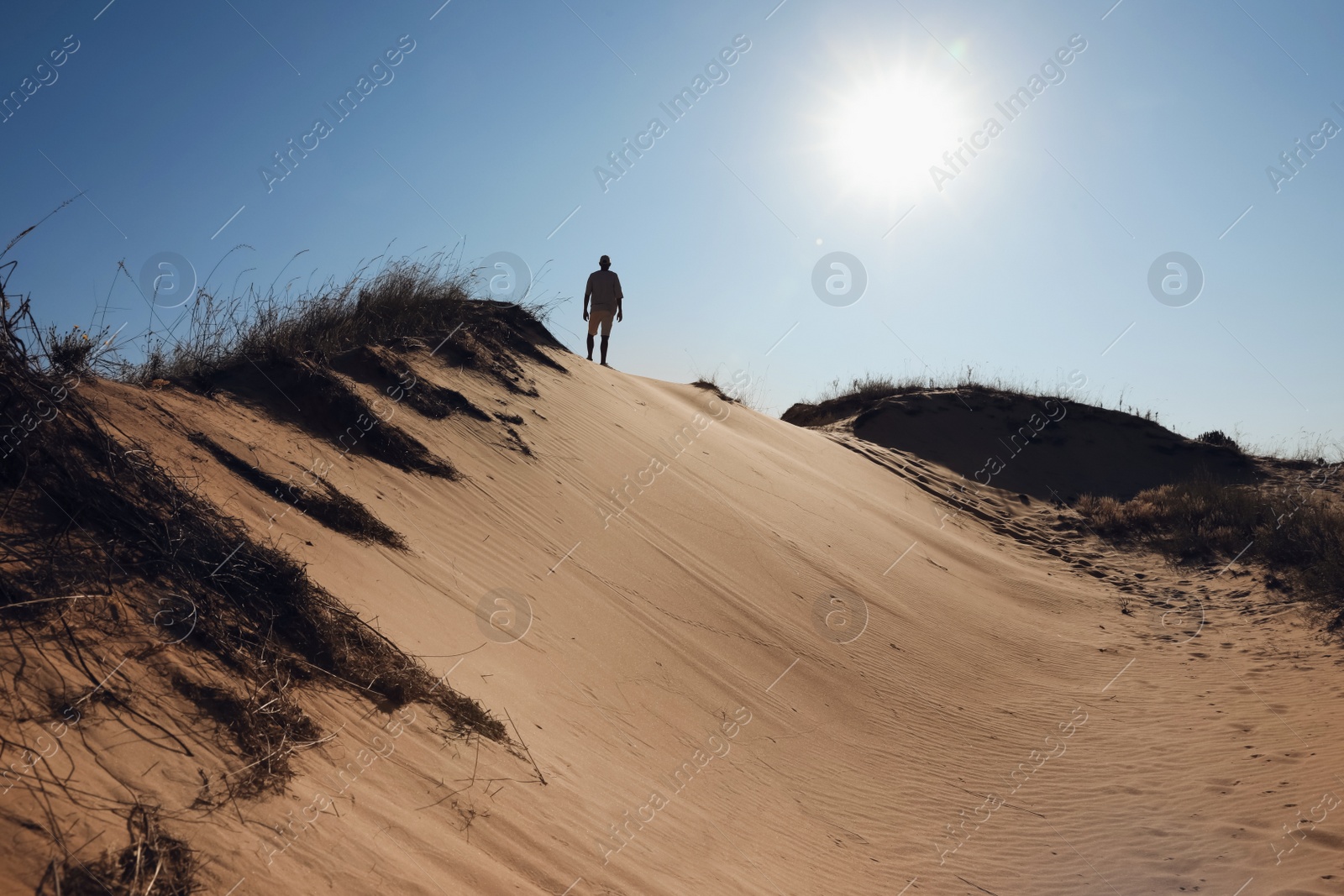 Photo of Man walking through desert on sunny day, back view