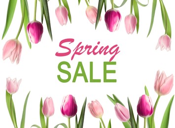 Image of Spring sale flyer design with text and beautiful pink tulips on white background