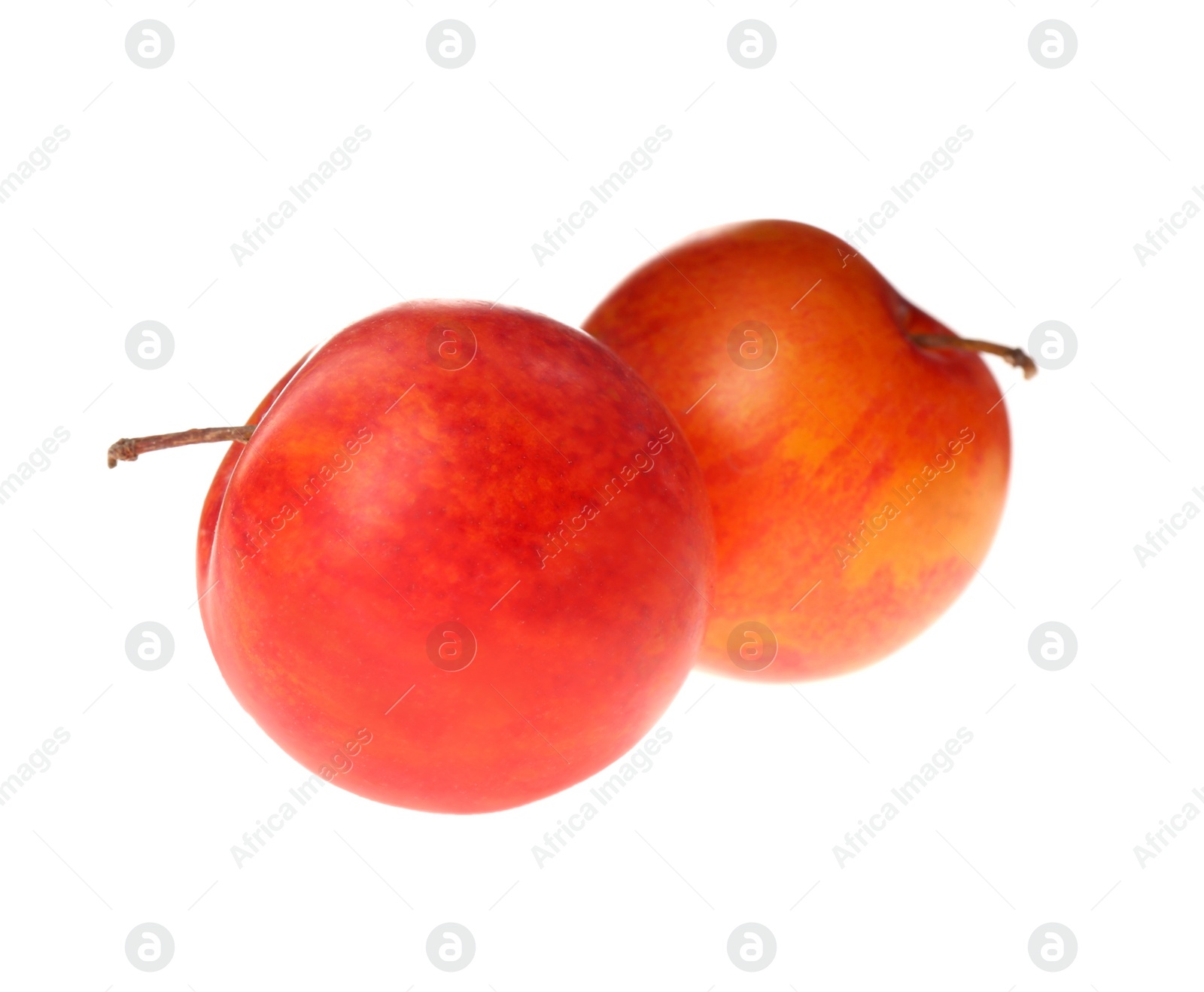 Photo of Delicious fresh ripe plums isolated on white