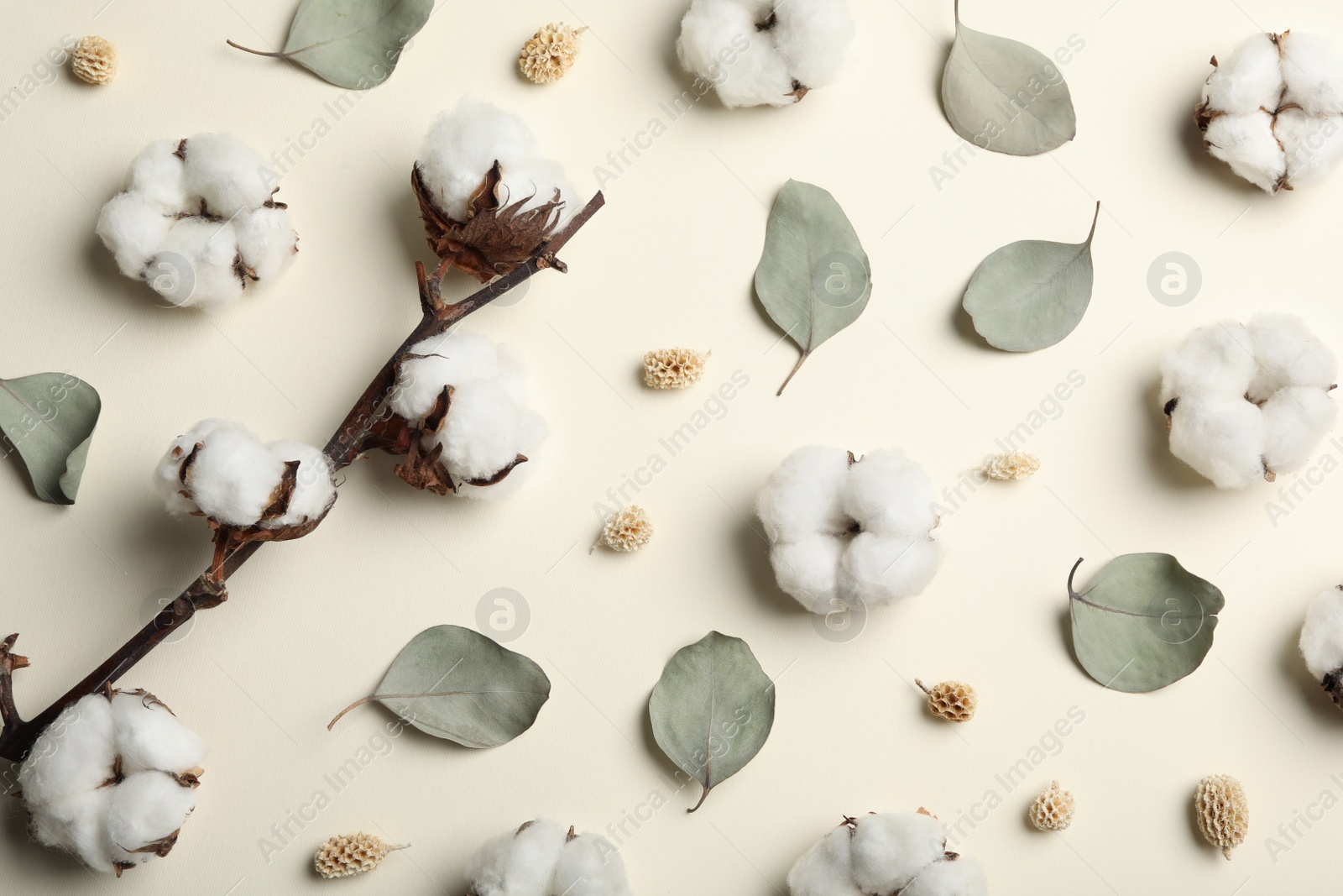 Photo of Flat lay composition with cotton flowers on beige background