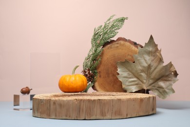 Photo of Stylish presentation for product. Wooden stumps and autumn decor on color background