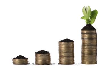 Stacks of coins and green plant on white background. Investment concept