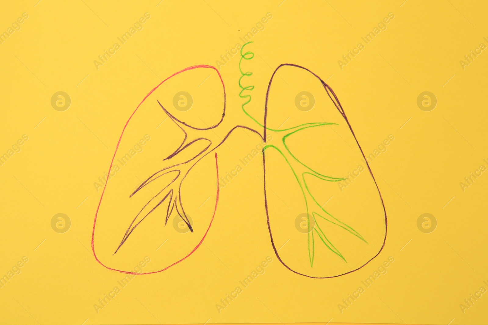 Photo of Human lungs drawn in different colors on yellow background, top view. Influence of unhealthy lifestyle