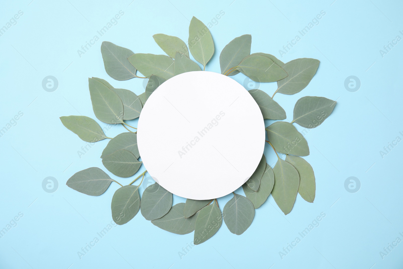 Photo of Fresh eucalyptus leaves and blank card with space for design on color background, top view