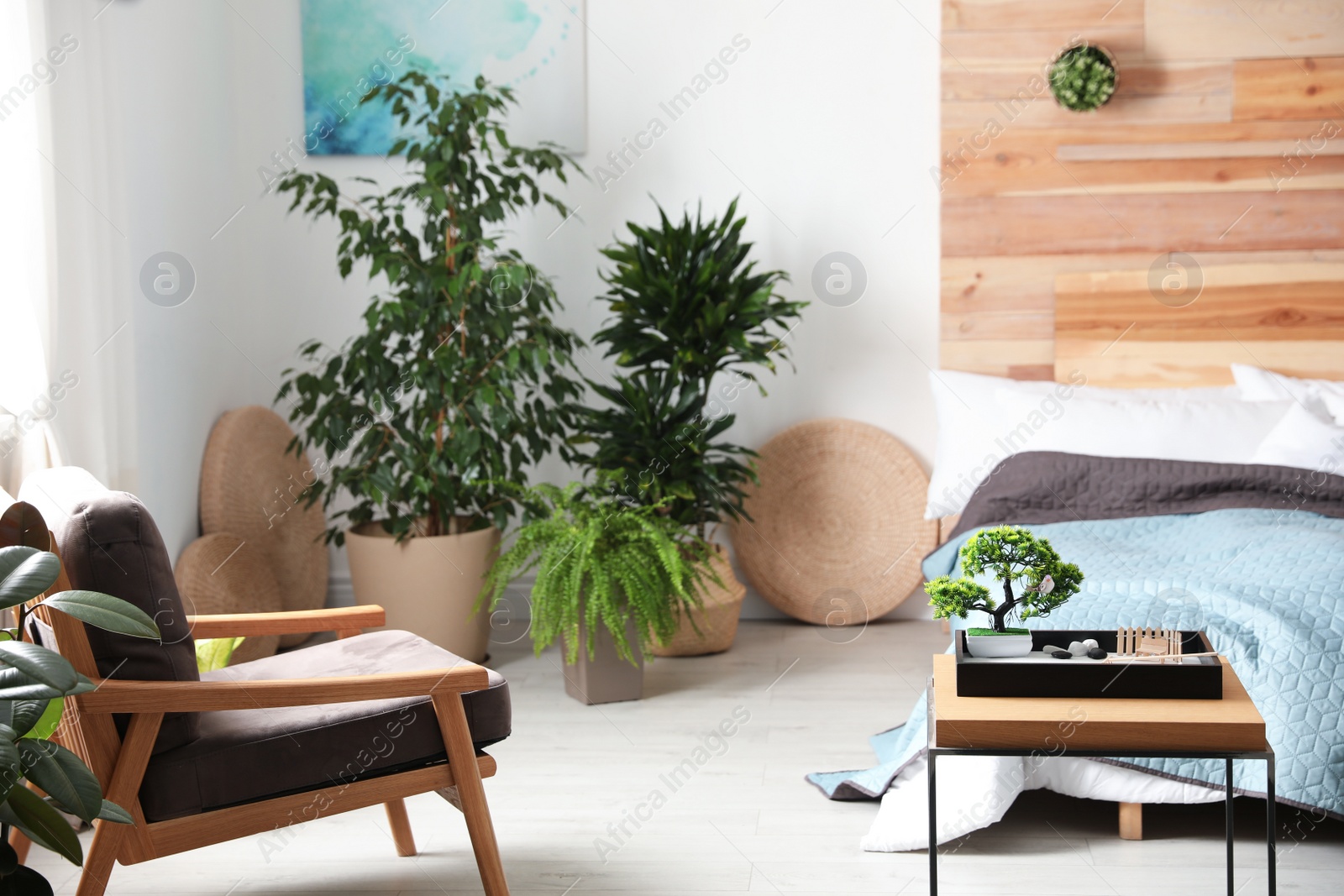 Photo of Miniature zen garden in stylish bedroom interior