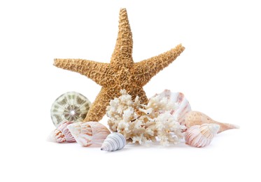 Photo of Beautiful sea star, coral and seashells on white background