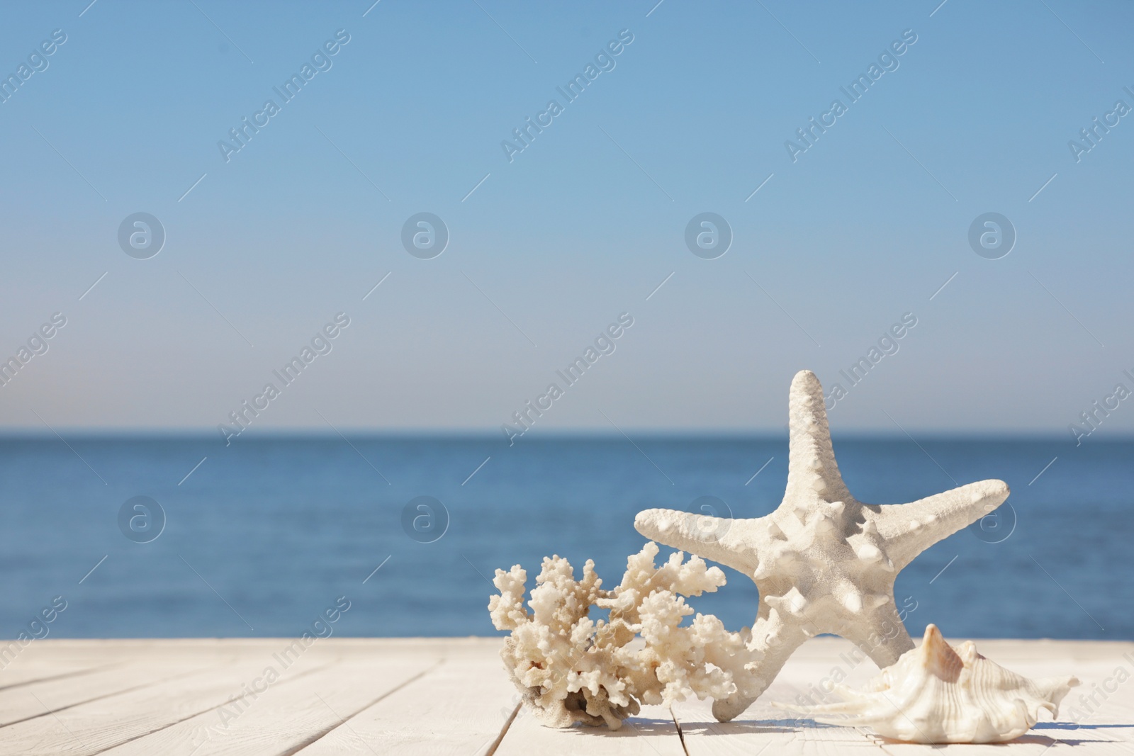 Photo of Beautiful starfish, coral and shell on wooden pier near sea. Space for text