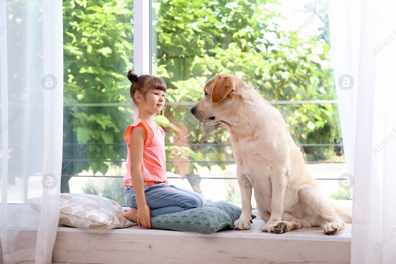 Photo of Adorable yellow labrador retriever and little girl near window at home