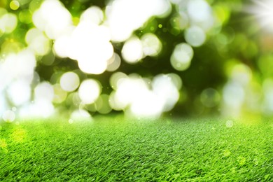 Vibrant green grass outdoors on sunny day