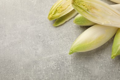 Photo of Fresh raw Belgian endives (chicory) on light grey table, top view. Space for text