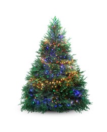 Photo of Beautiful Christmas tree with festive lights isolated on white