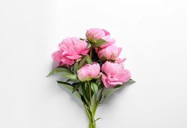 Photo of Beautiful fragrant peony flowers on white background