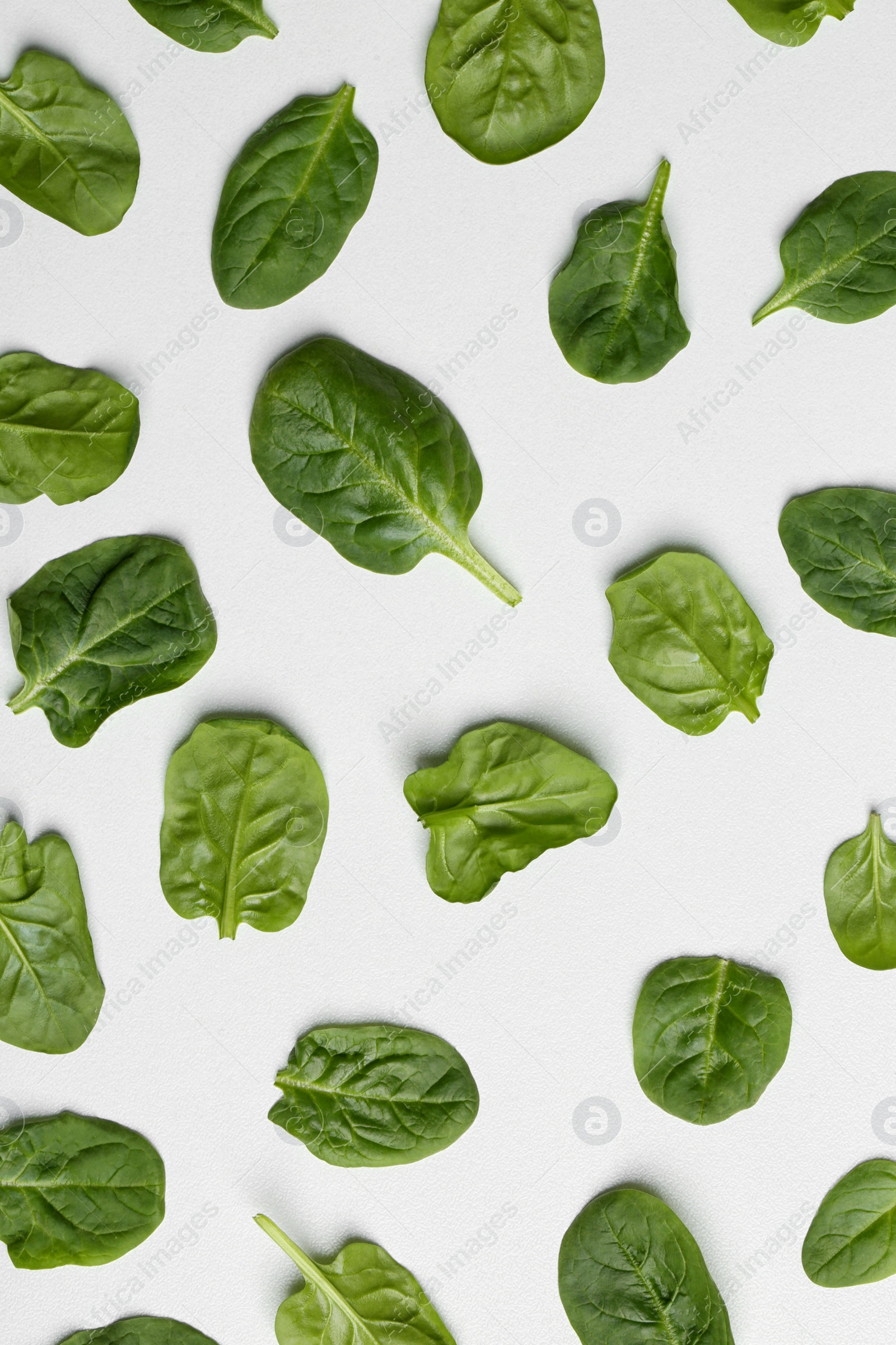 Photo of Fresh leaves of spinach isolated on white, top view