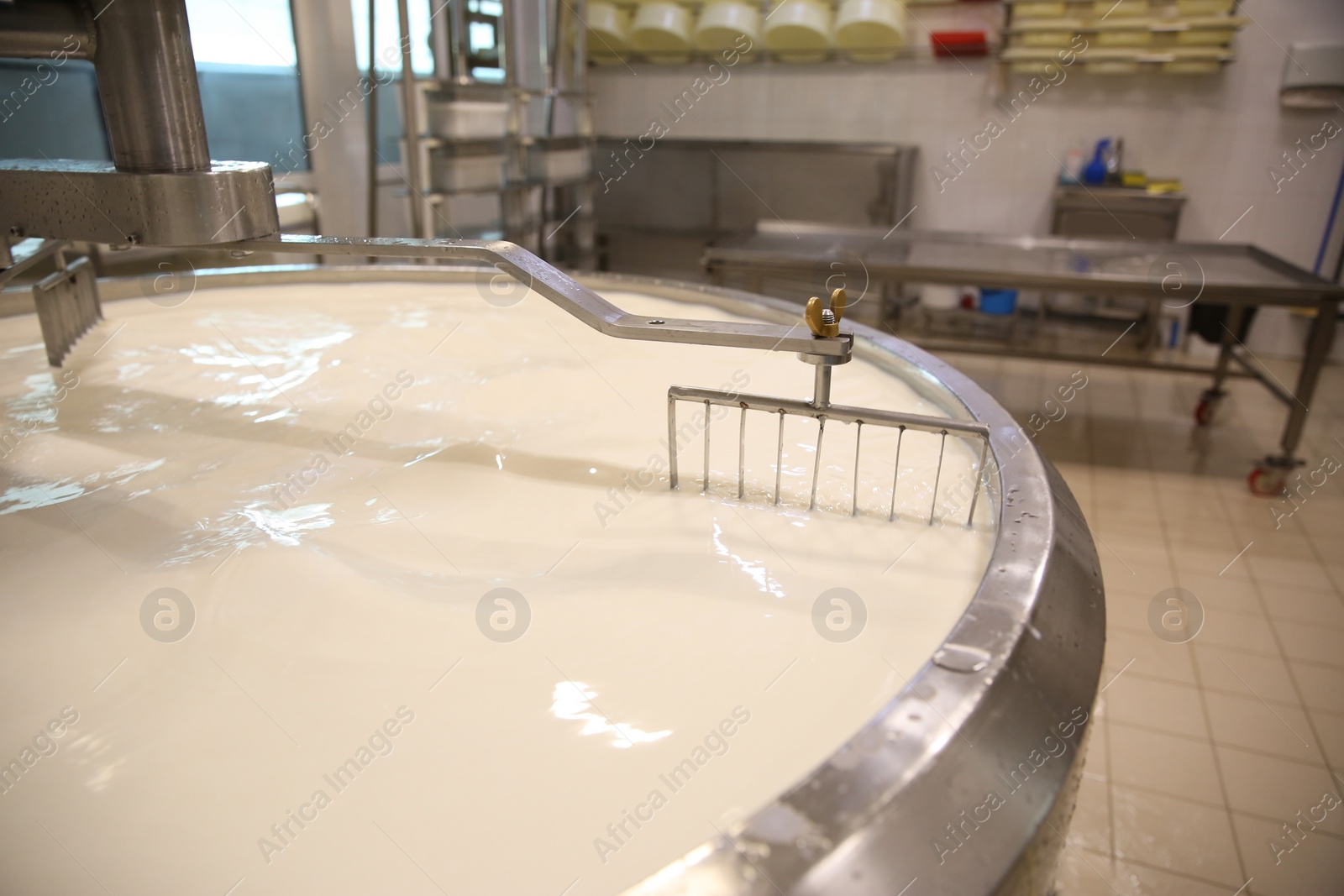 Photo of Milk in curd preparation tank at cheese factory