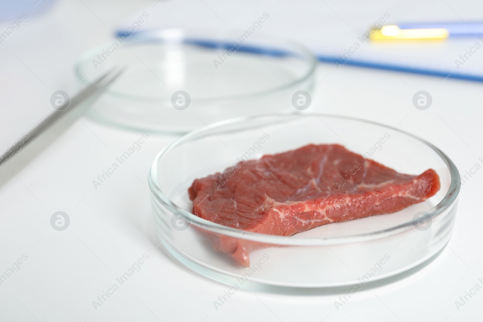 Photo of Petri dish with piece of raw cultured meat on white table, closeup