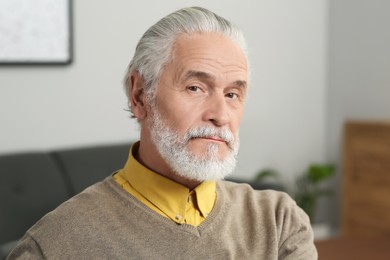 Portrait of handsome senior man at home