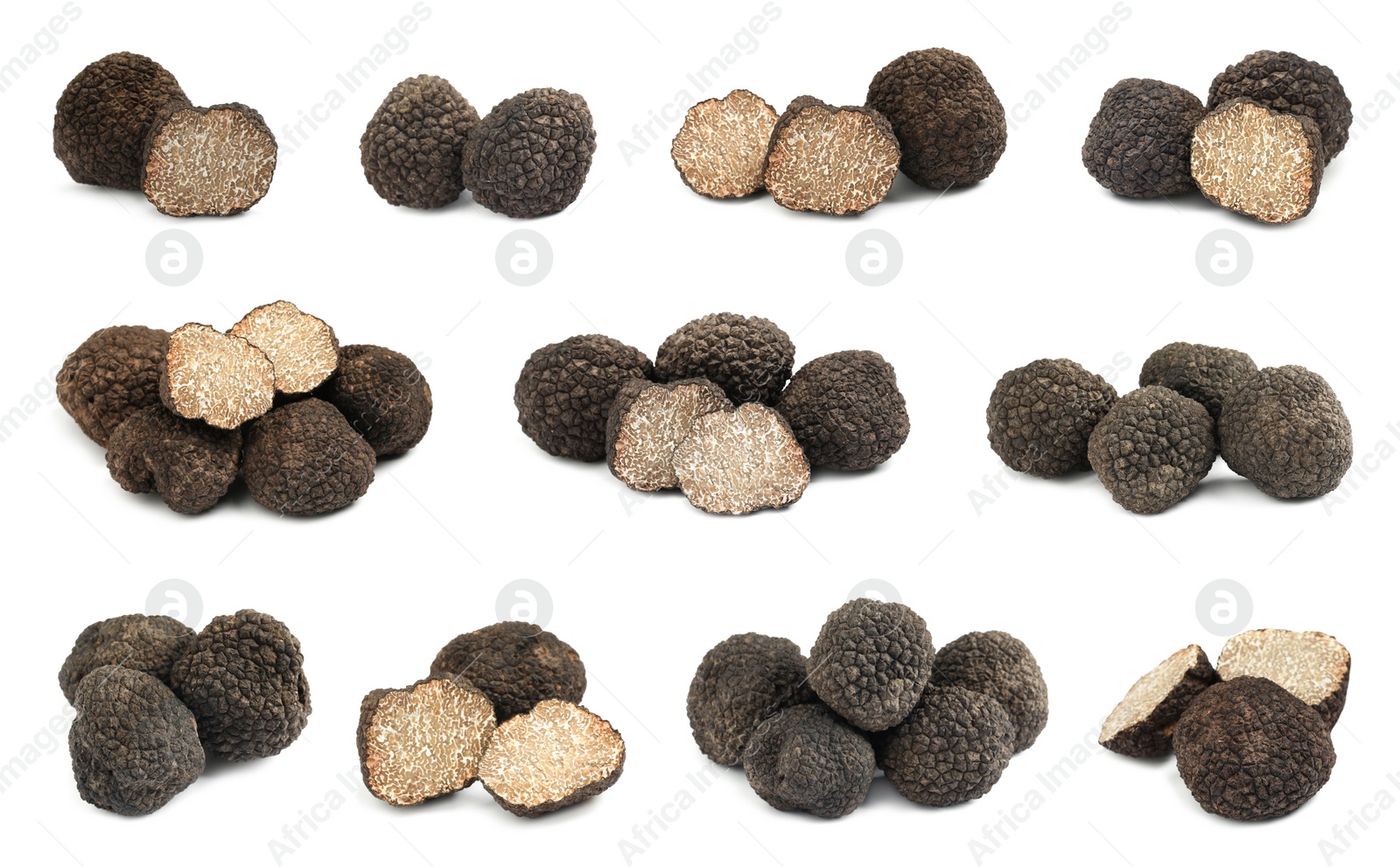 Set with expensive delicious black truffles on white background Image of Set with expensive delicious black truffles on white background