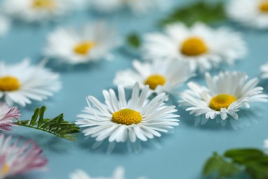 Photo of Beautiful daisy flowers floating in water, closeup