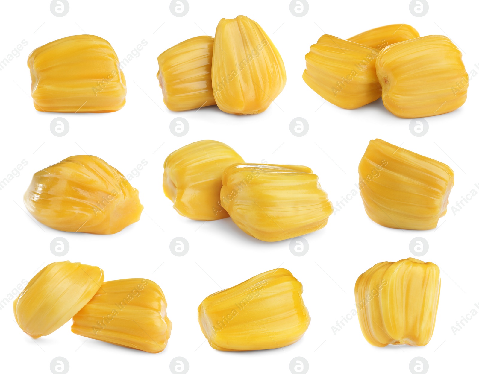 Image of Set with delicious exotic jackfruit bulbs on white background