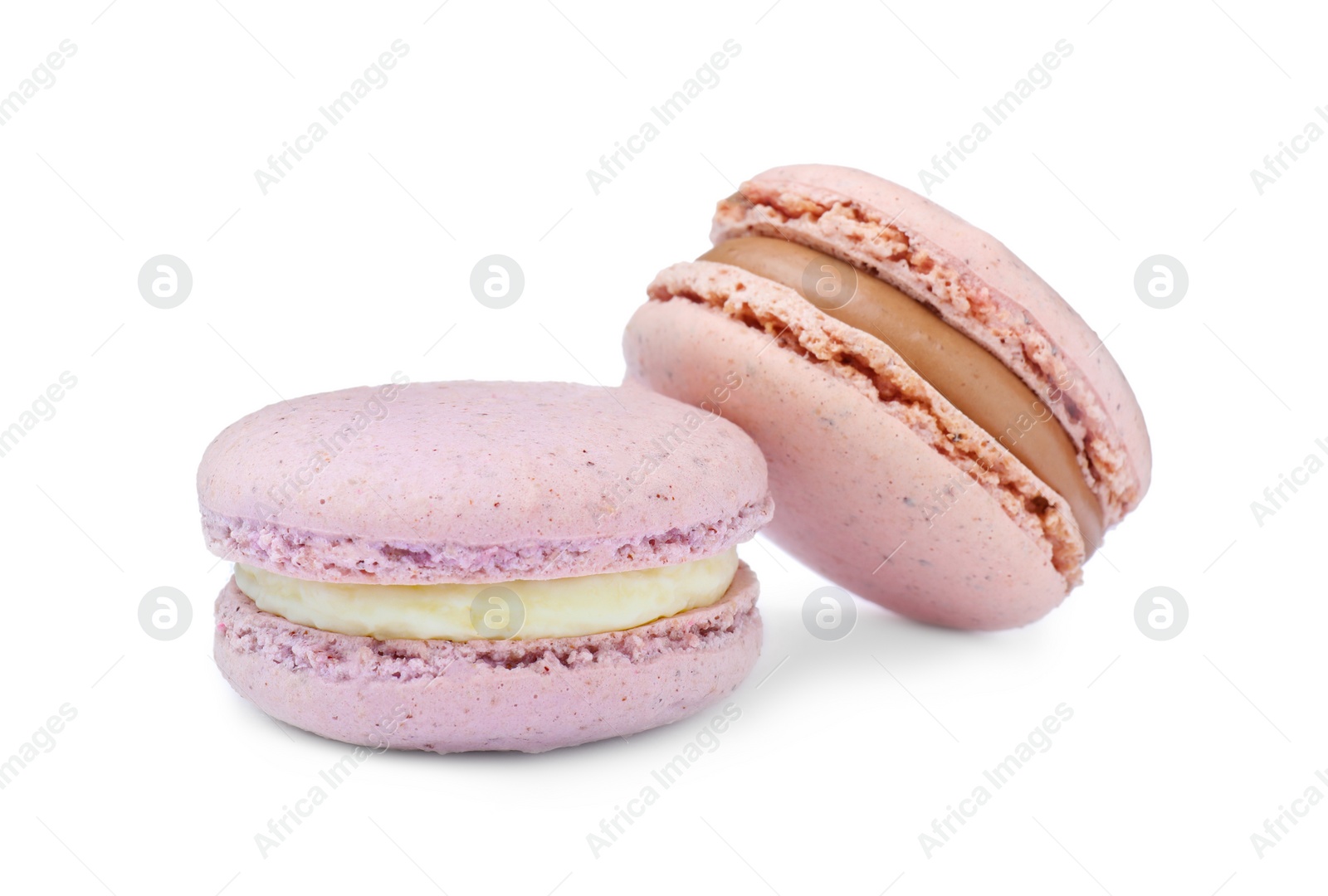 Photo of Pink macarons on white background. Delicious dessert