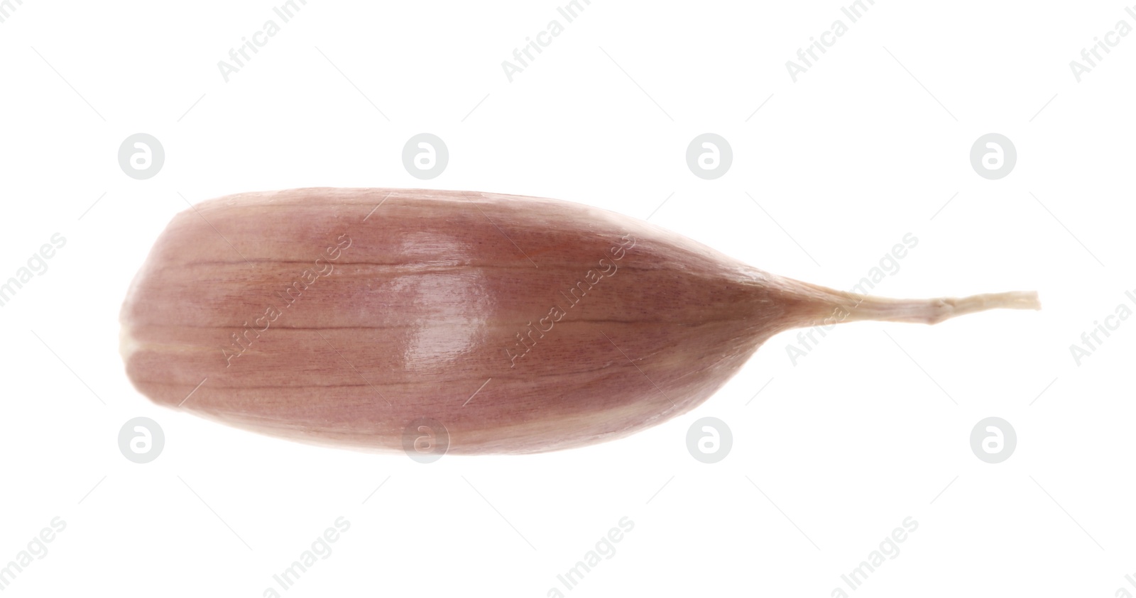 Photo of One unpeeled clove of garlic isolated on white