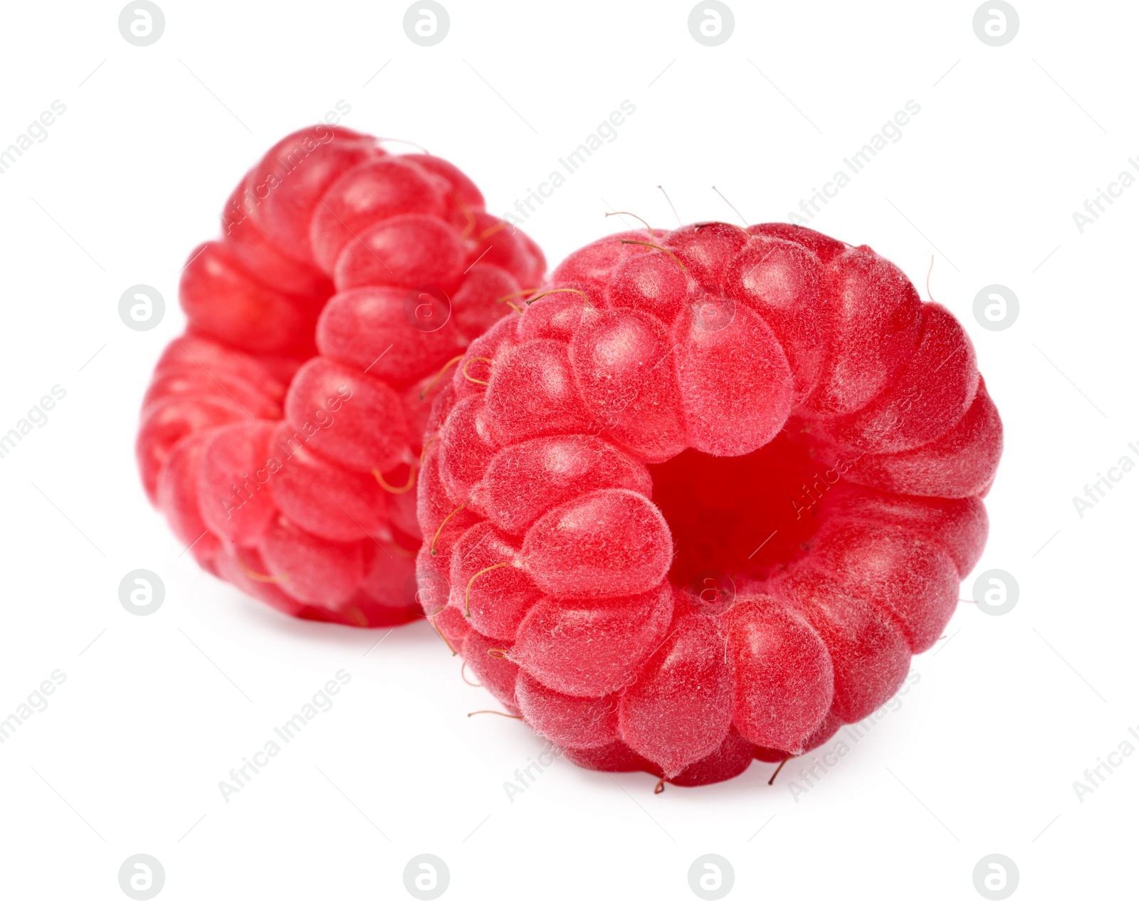 Photo of Two tasty ripe raspberries isolated on white