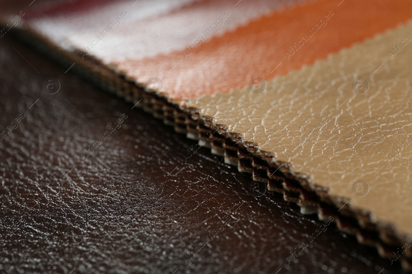 Photo of Texture of different leather as background, closeup