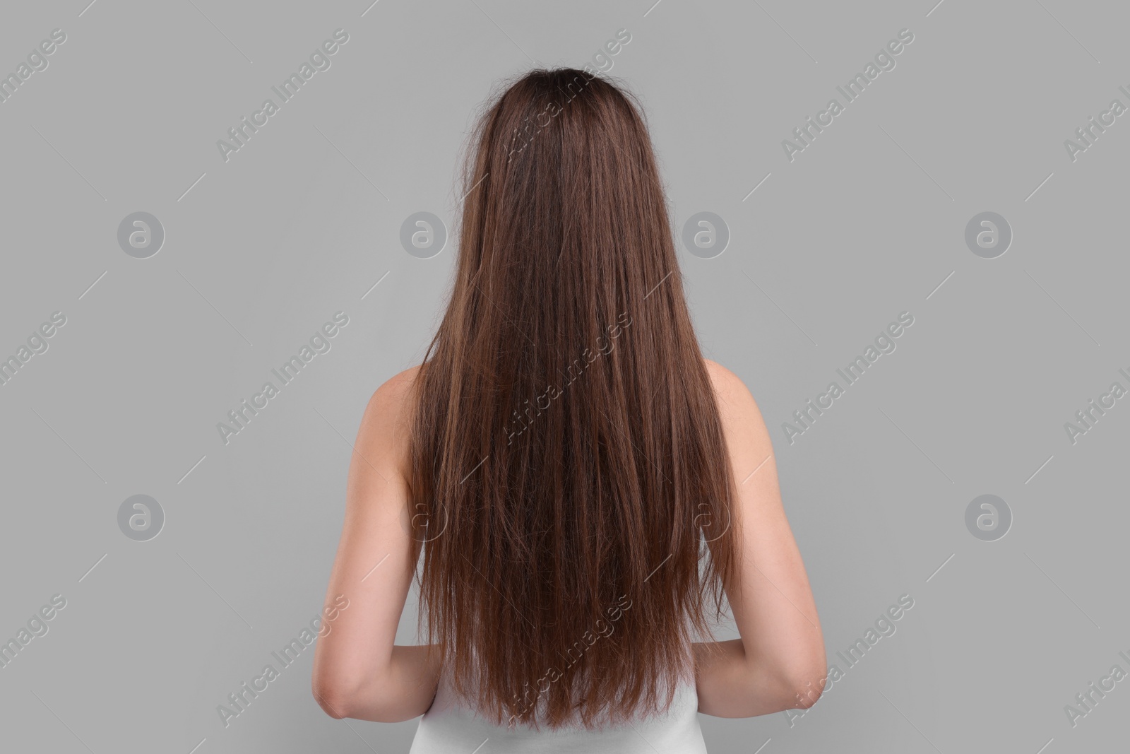 Photo of Woman with damaged hair on light grey background, back view