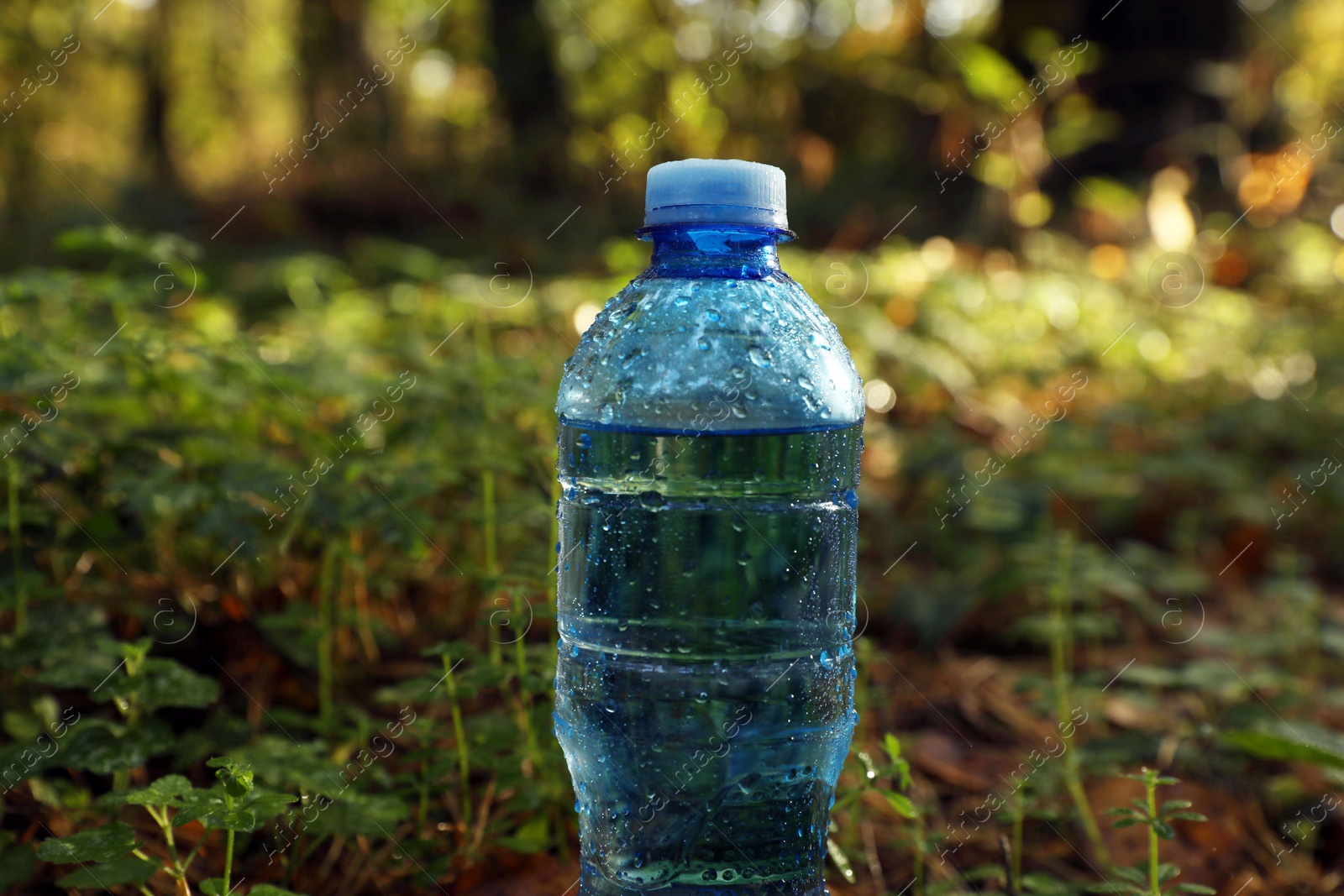 Photo of Plastic bottle of fresh water outdoors, closeup