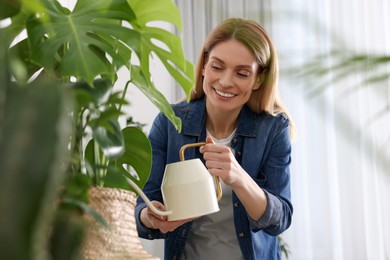 Woman watering beautiful potted houseplants at home