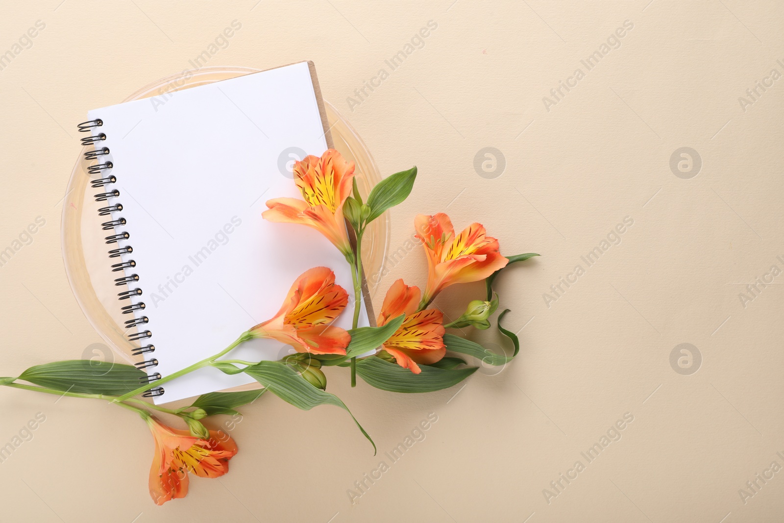 Photo of Guest list. Notebook and beautiful flowers on beige background, top view. Space for text