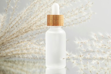 Photo of Bottle of face serum and beautiful dried flowers on light grey background, closeup