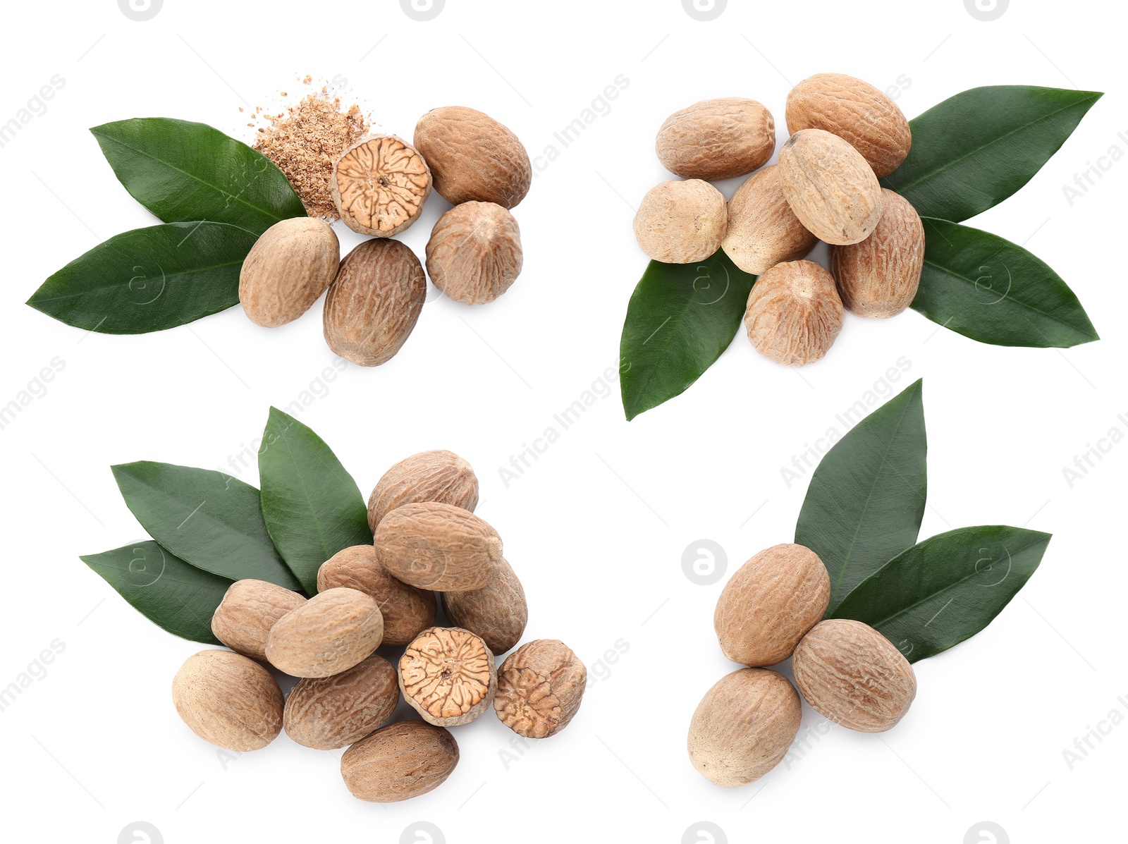 Image of Set with nutmeg seeds on white background, top view