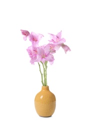 Vase with beautiful gladiolus flowers on white background