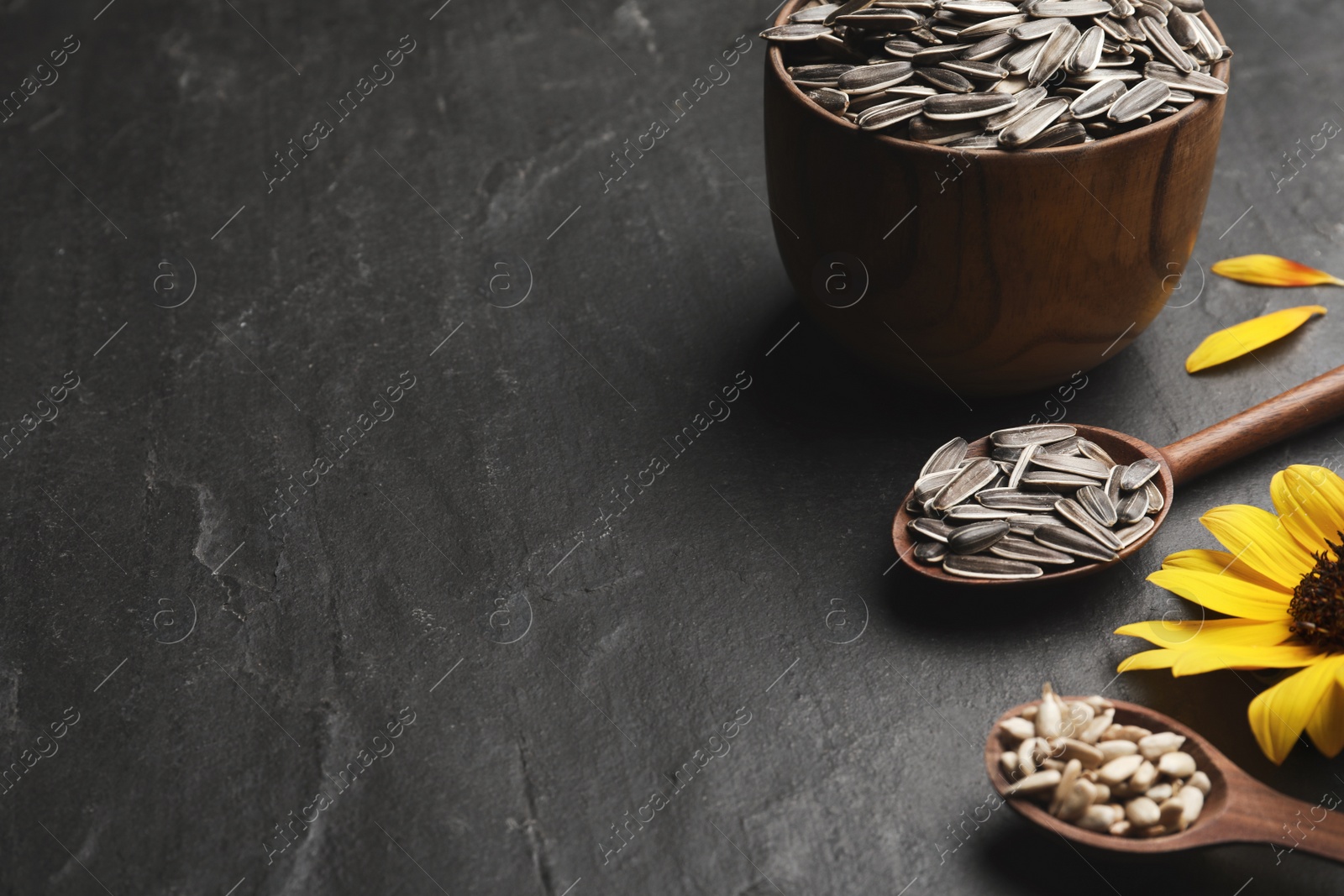 Photo of Raw sunflower seeds and flower on black table. Space for text