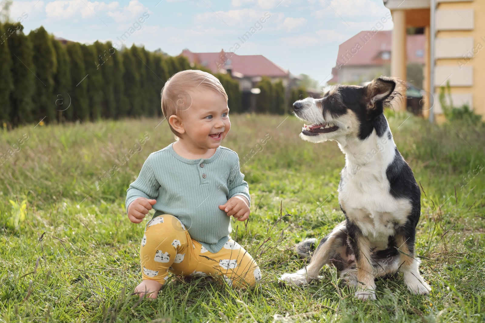 Photo of Adorable baby and furry little dog on green grass outdoors