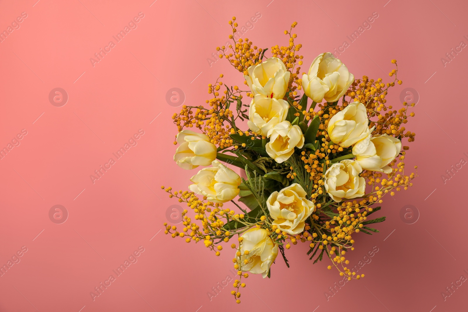 Photo of Bouquet with beautiful tulips and mimosa flowers on pink background, top view. Space for text