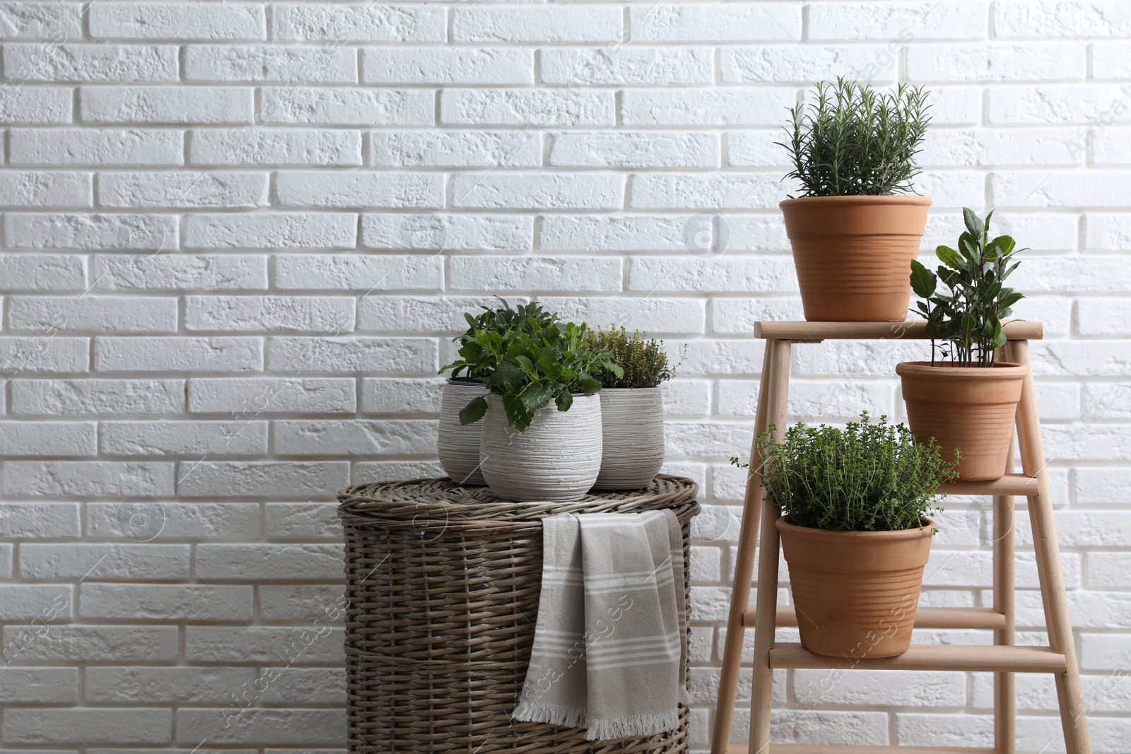 Photo of Different aromatic potted herbs near white brick wall indoors